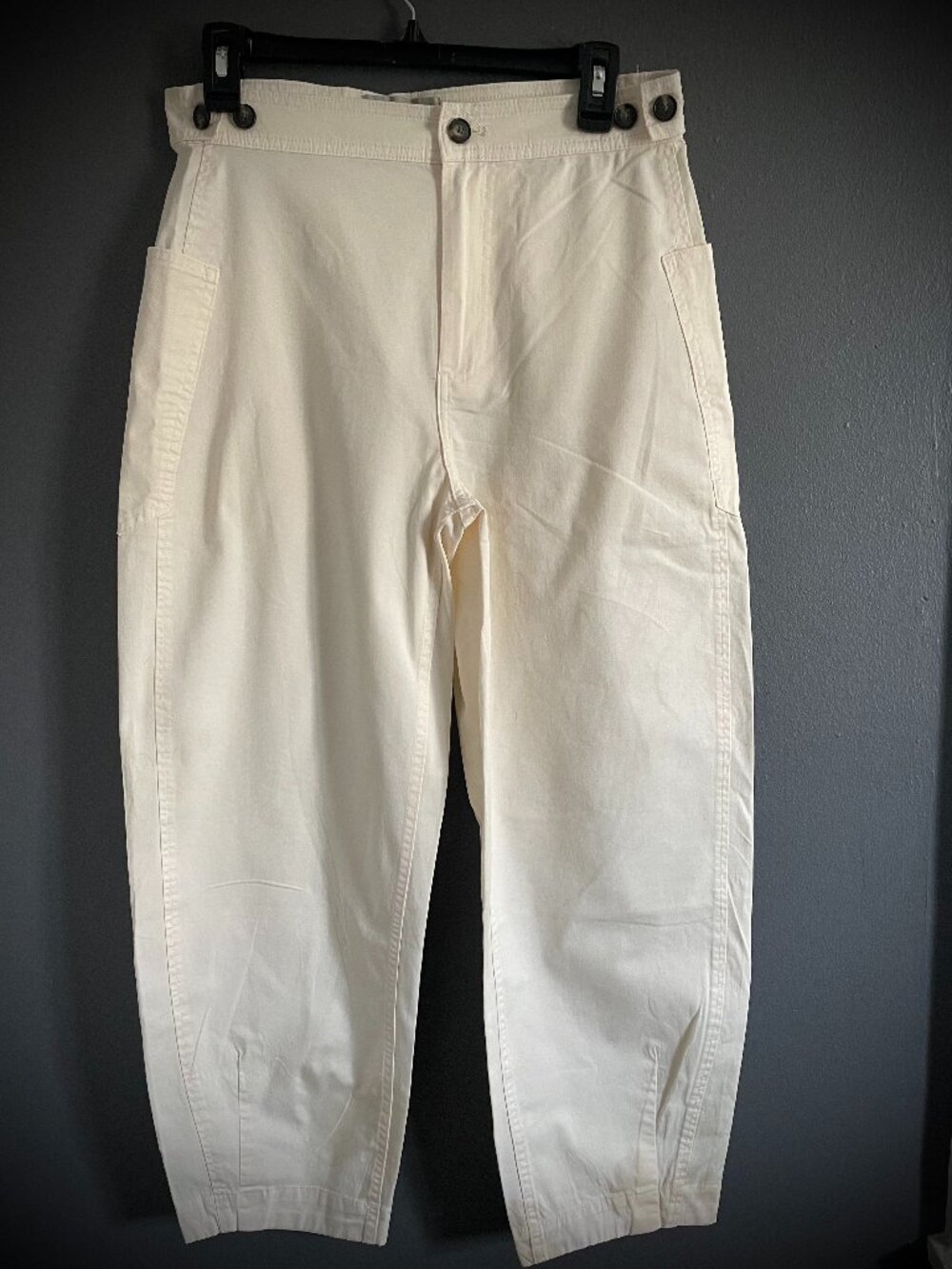 Everlane Barrel Pant Size 4